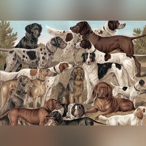 Dog Canvas Art Print - Multi-Breed Dogs Wall Decor